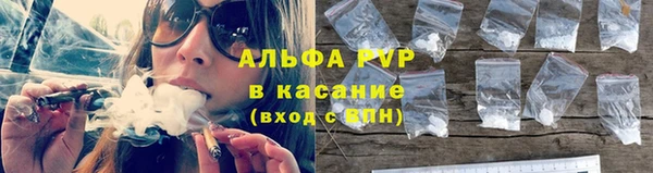 a pvp Гусев