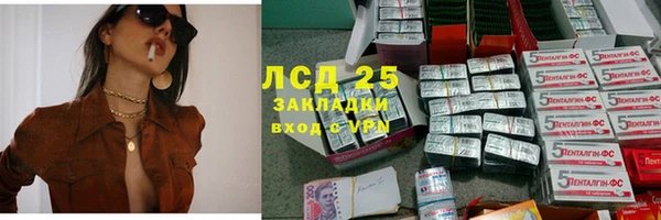 a pvp Гусев