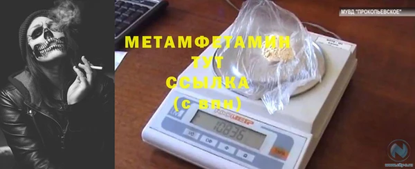трава Гусиноозёрск