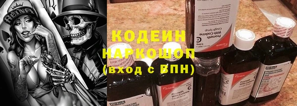 трава Гусиноозёрск