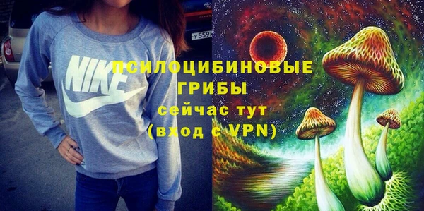a pvp Гусев